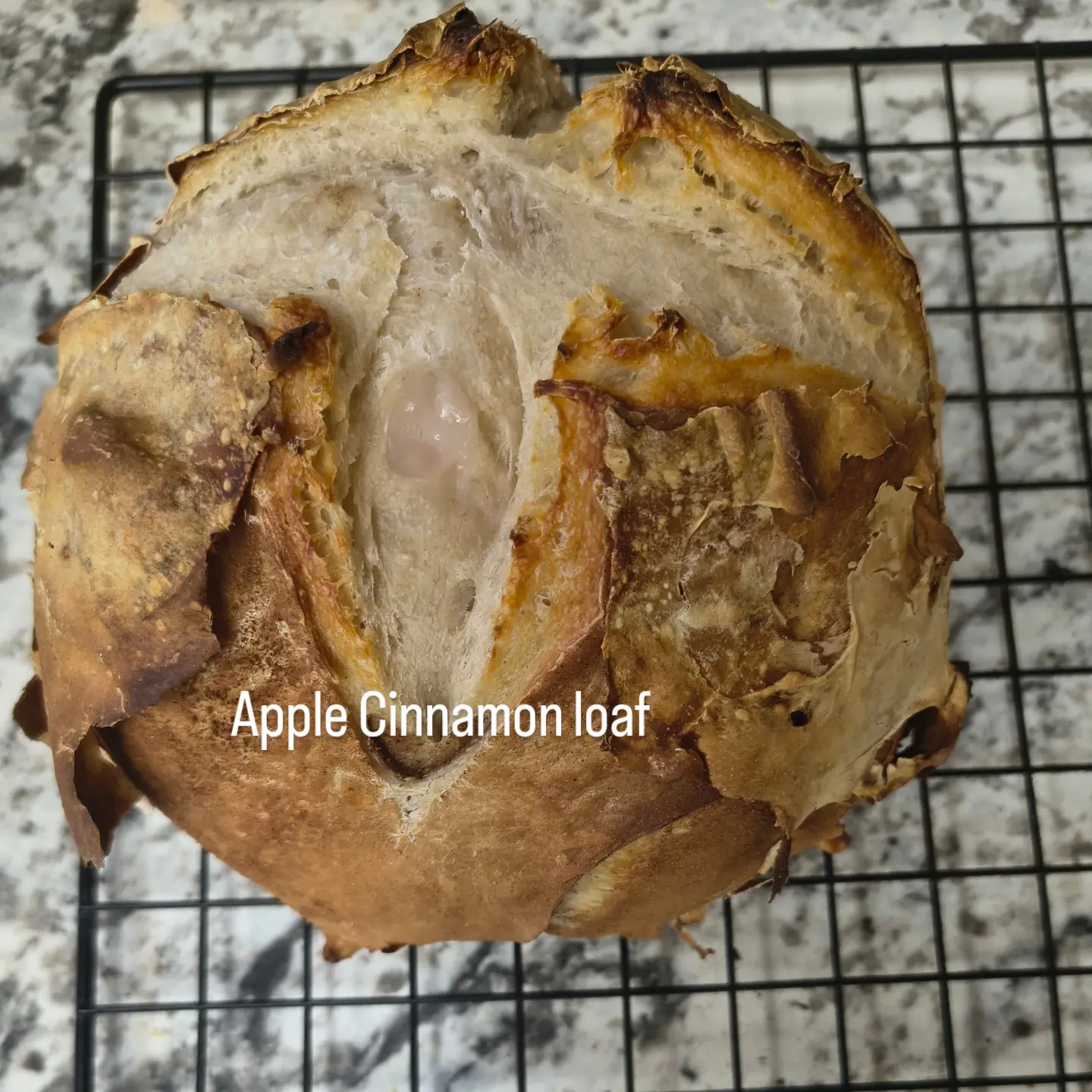 Apple Cinnamon