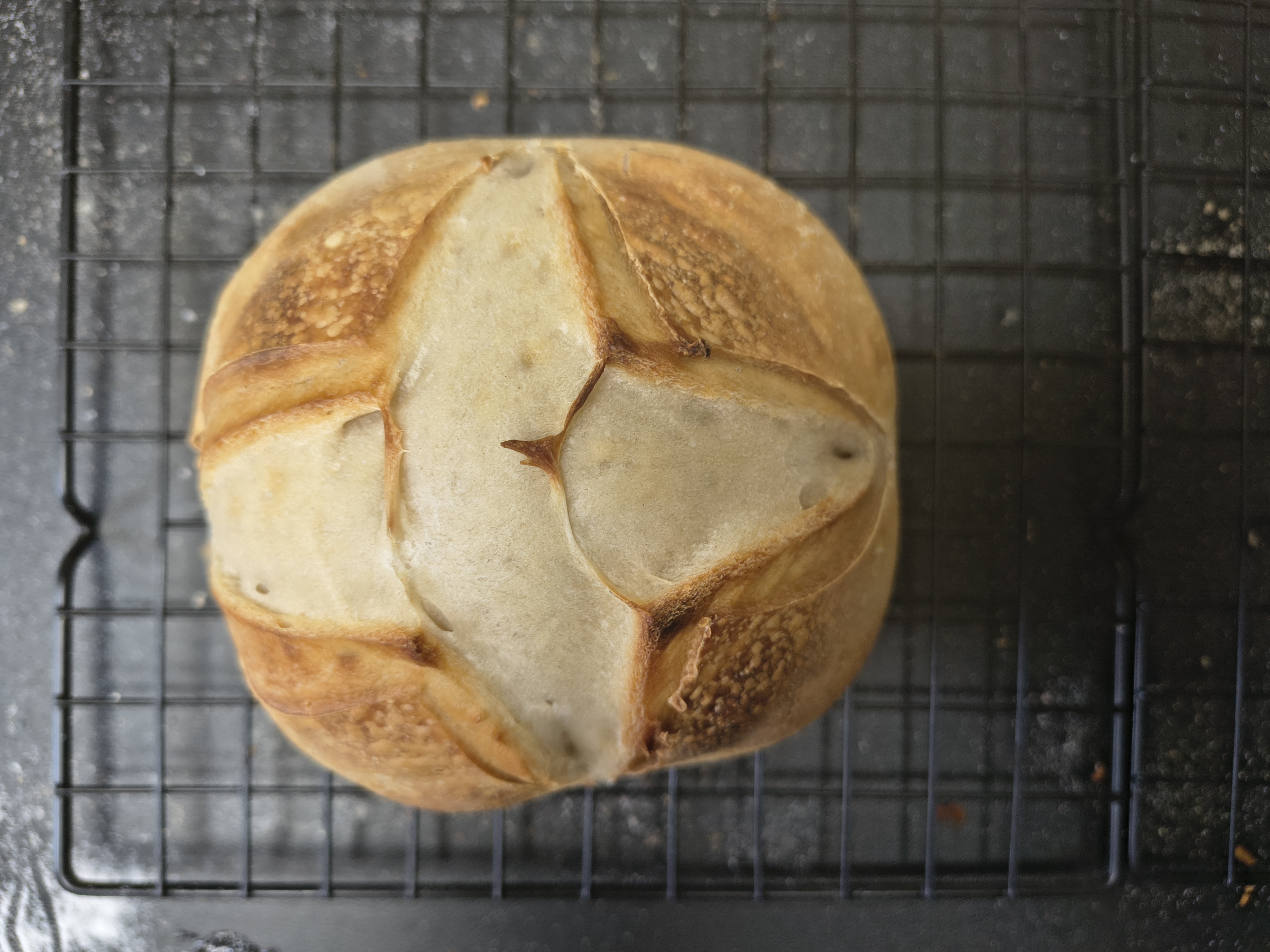 Original Sourdough Loaf