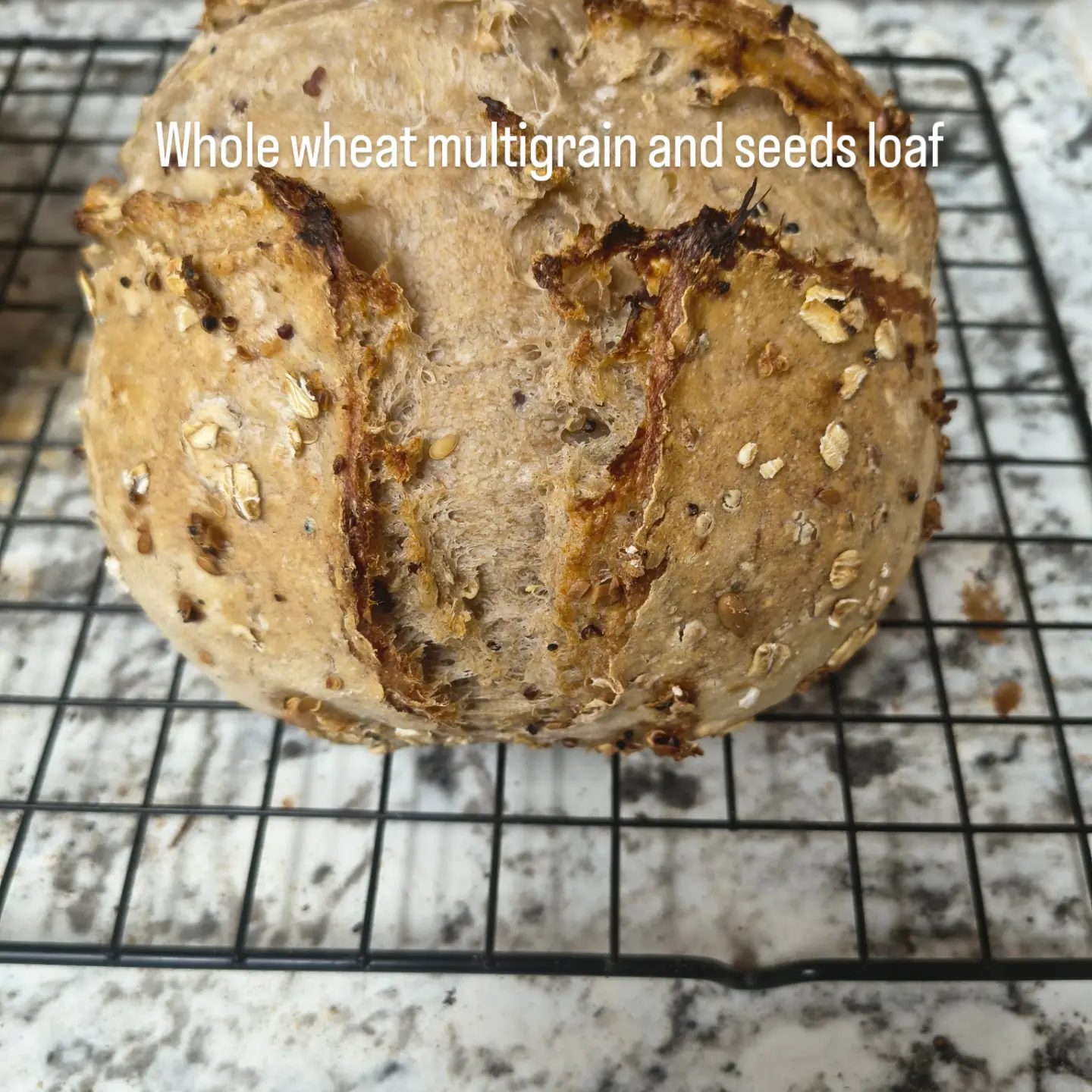 Whole wheat multigrain& Seeds Sourdough loaf