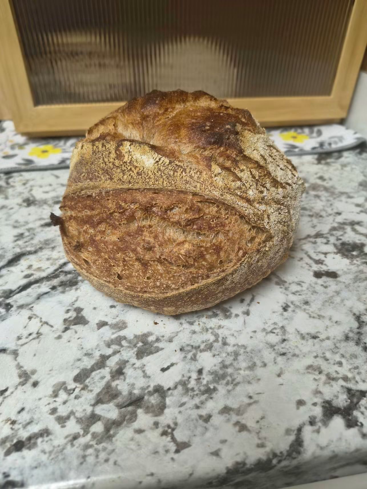 Whole Wheat Sourdough loaf