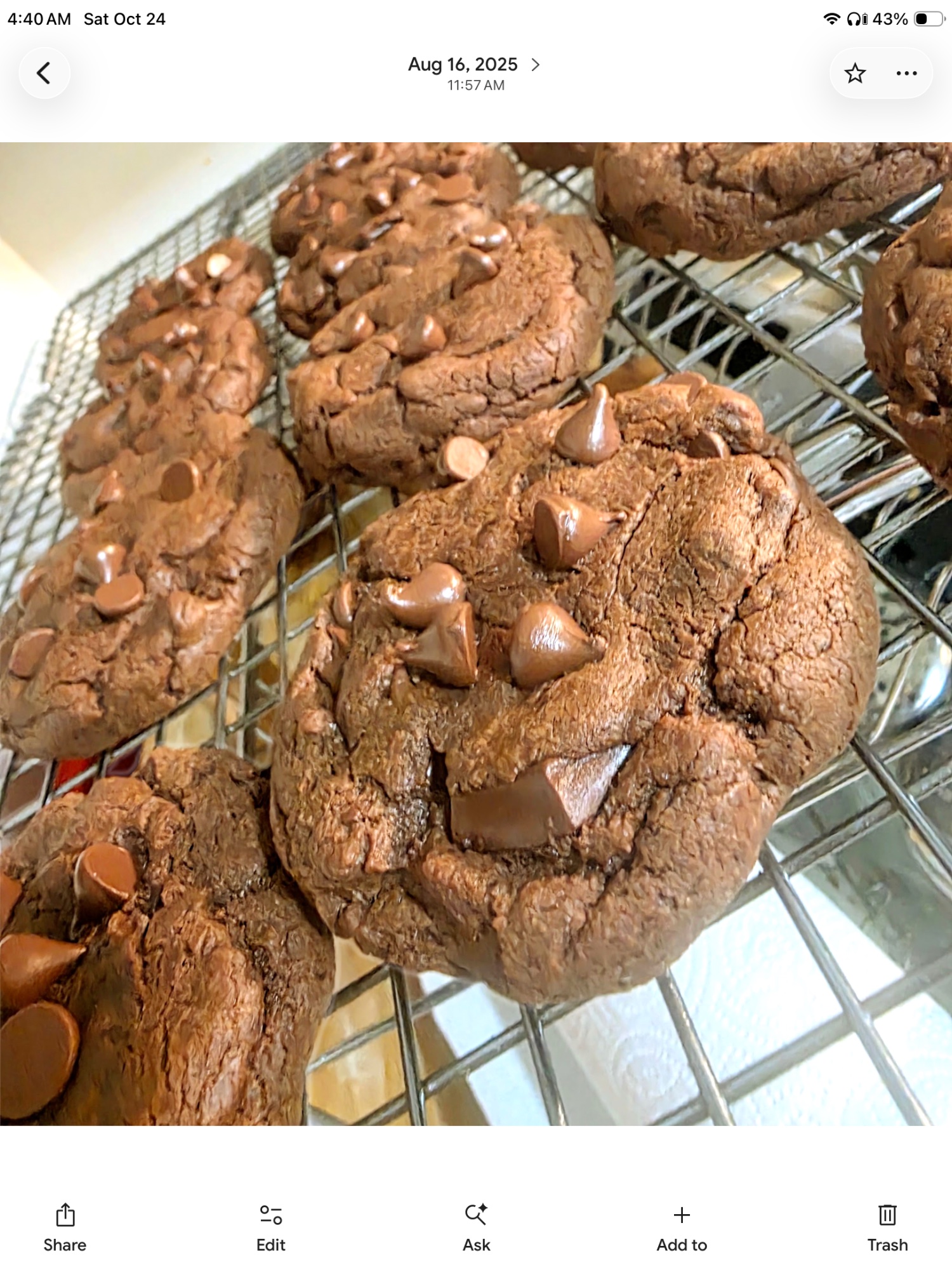 Choc’la Chunkies™️ Choc'La Fudgie Chunkies ™️