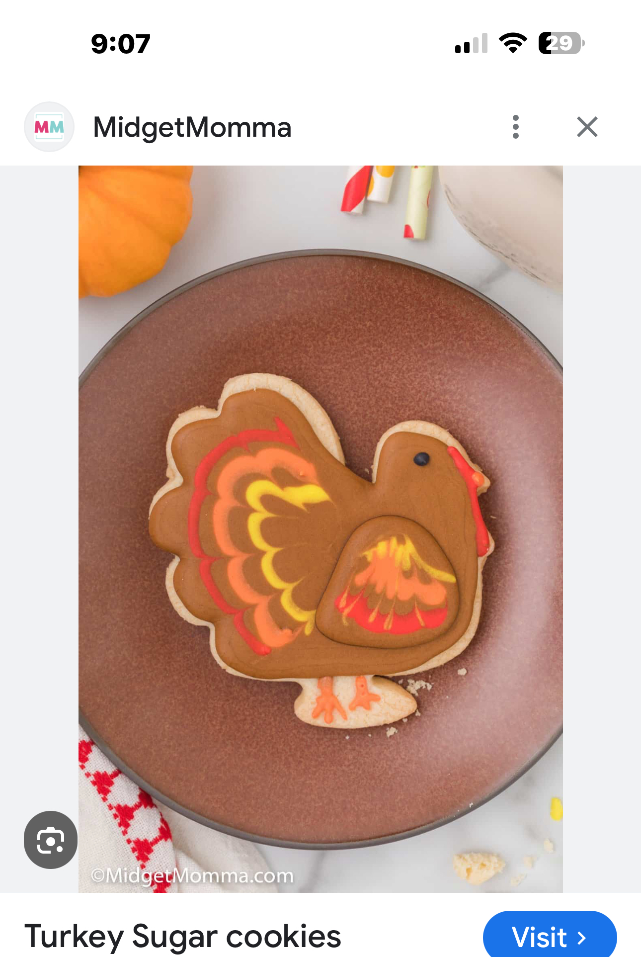 Thanksgiving Sugar Cookies